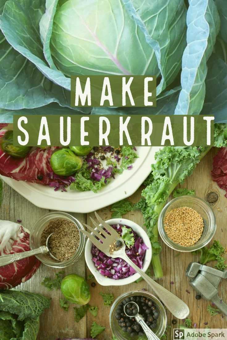Sauerkraut recipe image